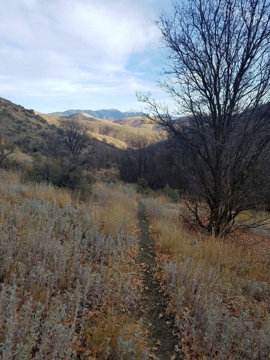 Circle game: The past few years have revealed much. But what have we learned? , by <a href="/MartinHackworth/">Martin Hackworth</a> open.substack.com/pub/martinhack…