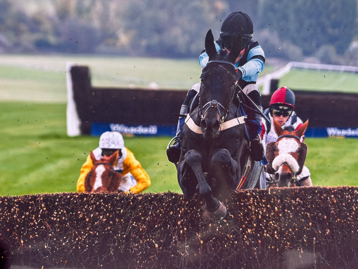 jamiesnowden's tweet image. #RoeAndCo wins @Chepstow_Racing under @Joe_Anderson17 on his 2nd chase start. This lightly raced gelding was bought by @TMBloodstock from @TattsCheltenham Well done team @Alexwalters89 @BetVictor #winner no.36 for the season.