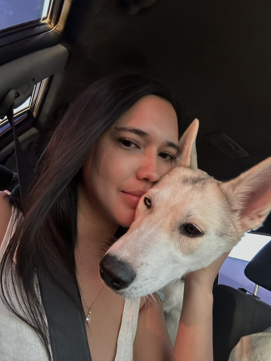spdm97's tweet photo. Mi reina en esta y todas las vidas 🌸🩷 

#Arya 
#5months 
#Husky https://t.co/bUWSLQJzWV