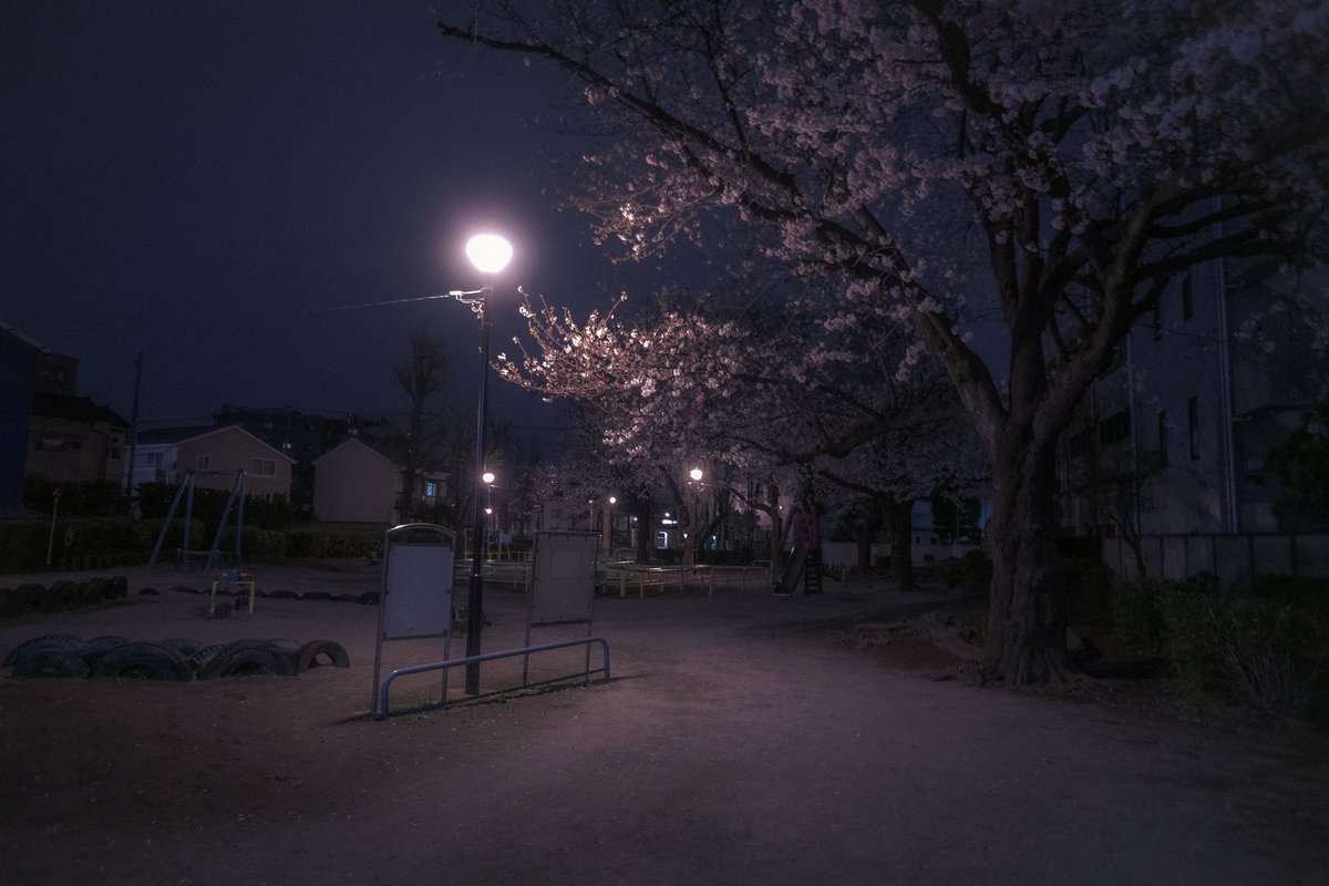 nyafu (@n55_pafu) on Twitter photo 