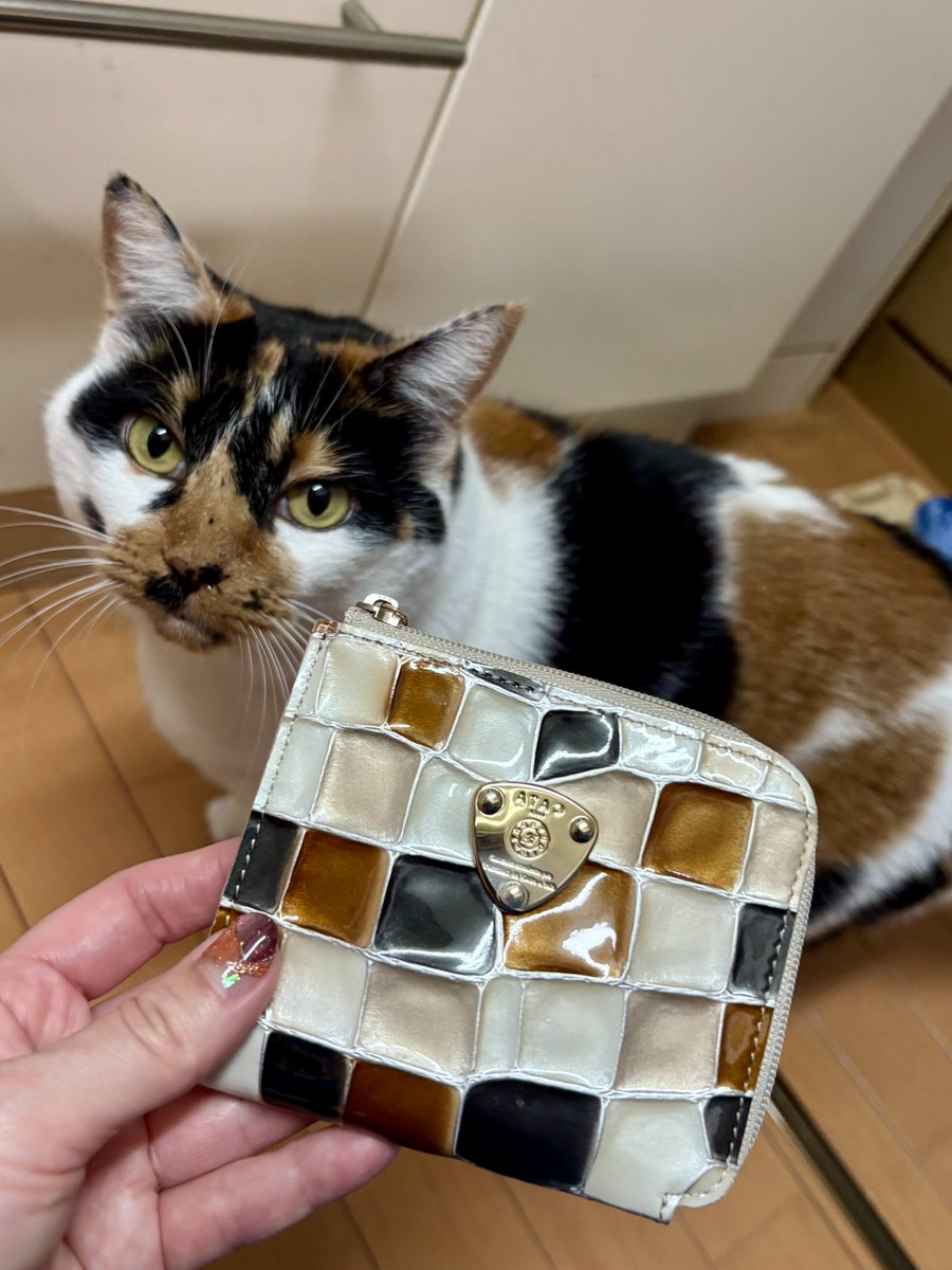 mican様☆専用 Amazon.co.jp: 工進(KOSHIN) 船舶用ポンプ ラバレックスポンプ