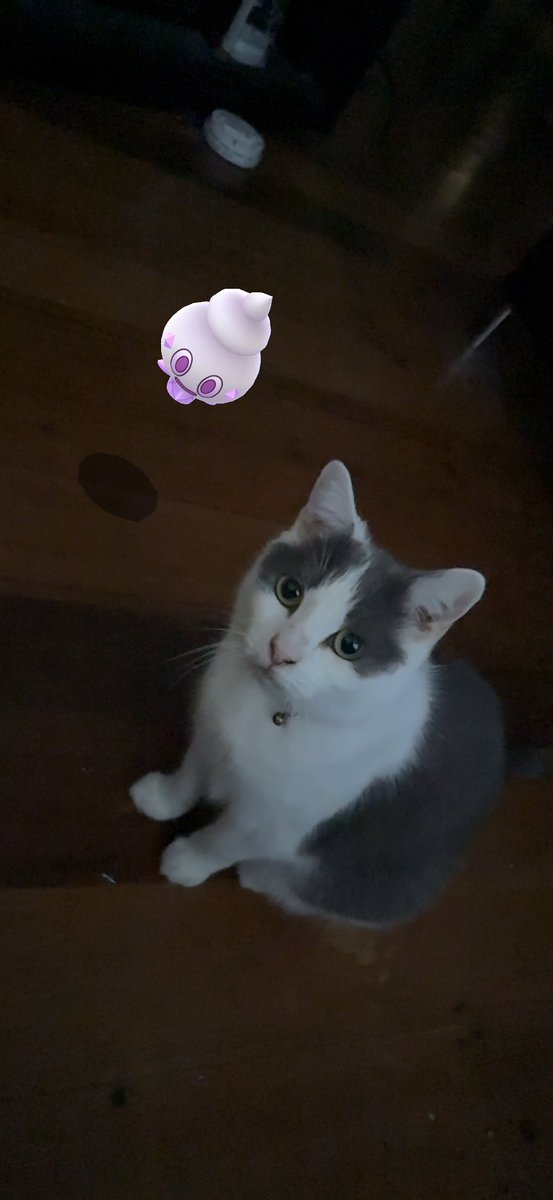 ⁰༻Esᴘᴇᴏɴ Wɪʟʟᴏᴡ༺⁰﹨The Backrooms﹨#BringBackWillow tweet media