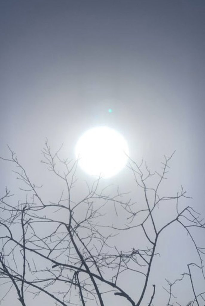 jackmann2007's tweet image. 