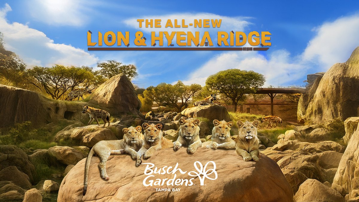 Busch Gardens Tampa just announced that their new for 2026 addition will be a large renovation to the Lion &amp; Hyena habitats.  I am a big fan of seeing the animals at BGT, so I am excited for this one, feel like it has been a while since they made a large scale animal exhibit.