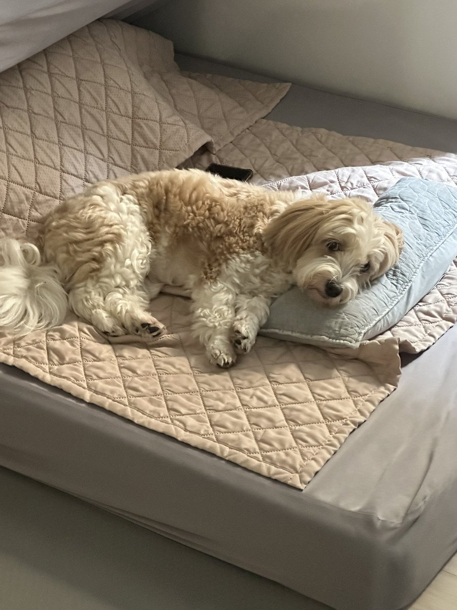 엄마 일하는 동안 혼자 방에 들어가서 자는 아기