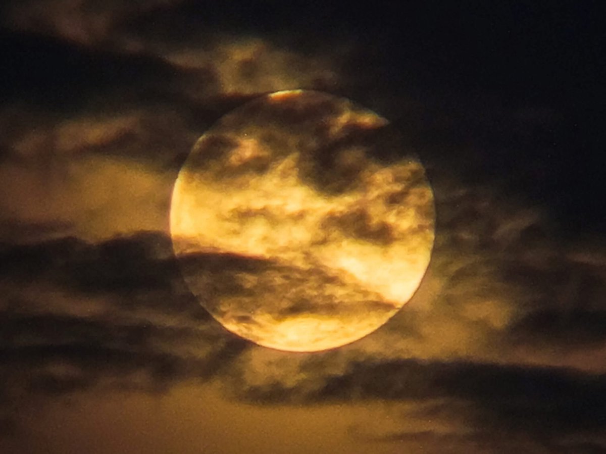 𝐒𝐔𝐏𝐄𝐑 𝐁𝐄𝐀𝐕𝐄𝐑 𝐌𝐎𝐎𝐍 🌕 🦫

#AstroPH #Supermoon #BeaverMoon