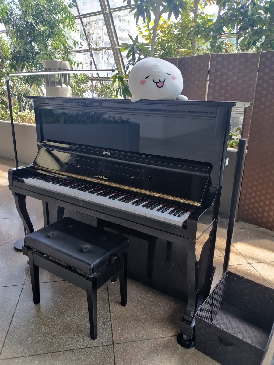 もふもふページ もふもふさま専用 もー様 ☆【moumouさま専用】☆ ZX