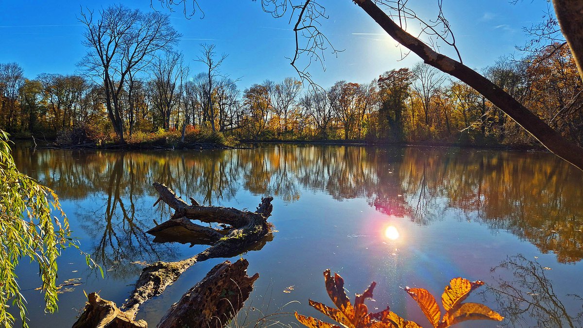 Michael Bauer tweet media