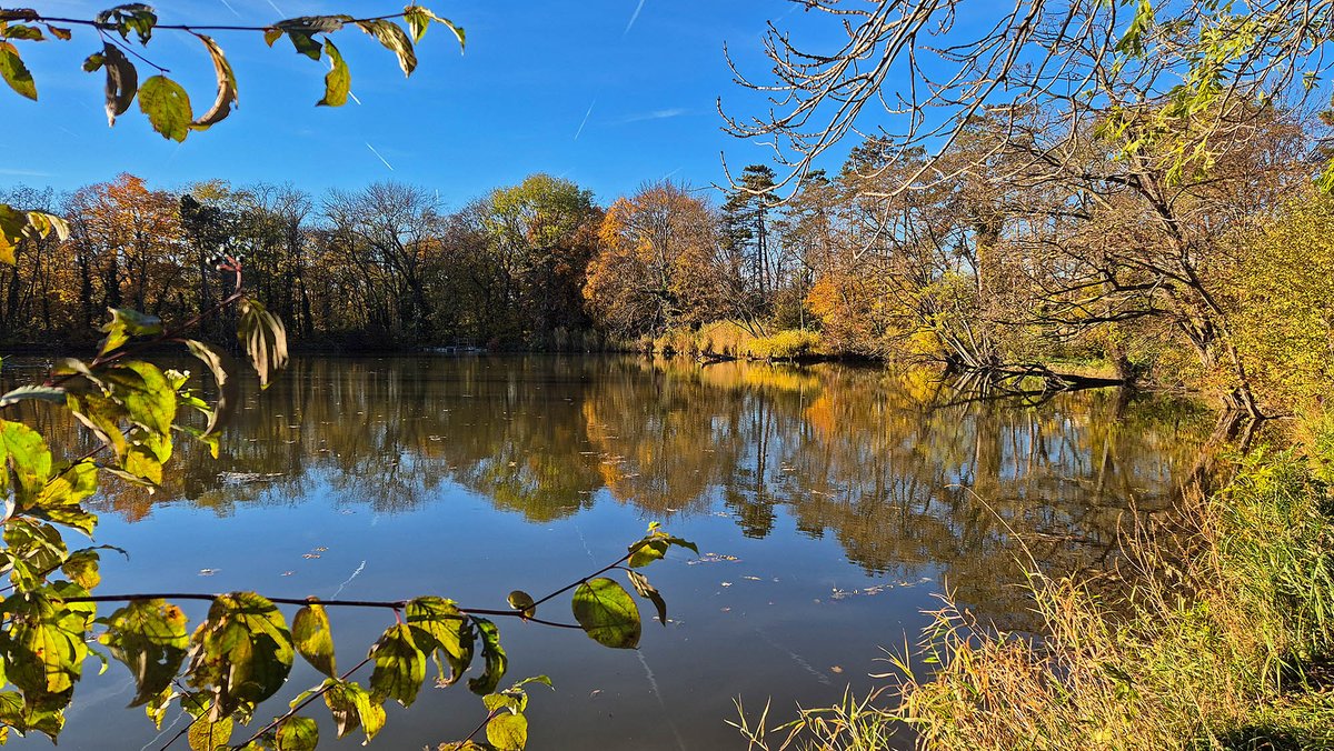 Michael Bauer tweet media