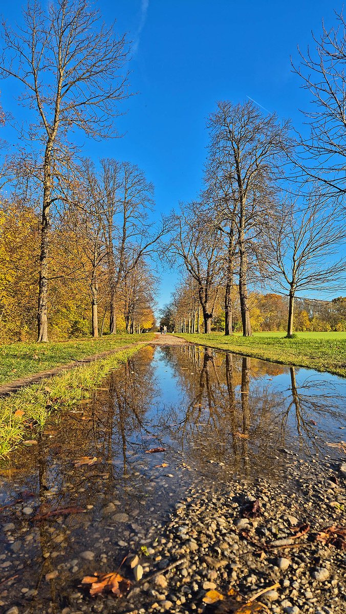 Michael Bauer tweet media