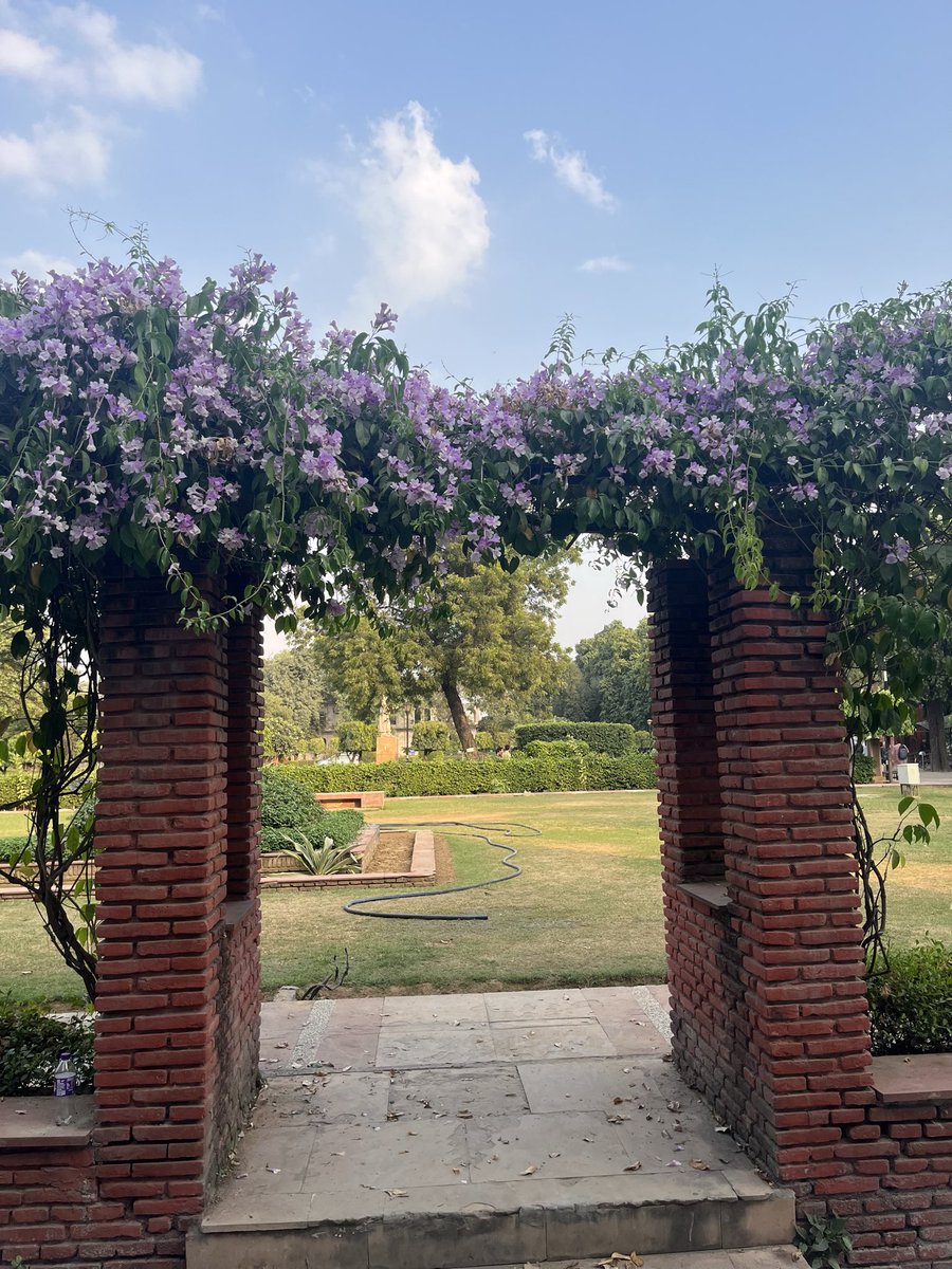 Muneeb Ahmad tweet media