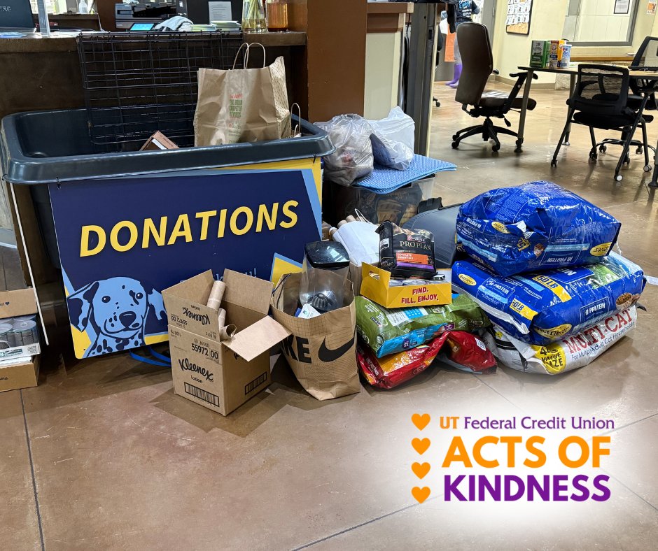 UTFCU's tweet photo. 💛 17 UTFCU teams joined forces for our Acts of Kindness campaign! From care kits to groceries, no act was too big or small. Celebrating World Kindness Day by spreading generosity across our communities. 🌎💫

#WorldKindnessDay #UTFCUKindness #PeopleHelpingPeople https://t.co/fOd7sNJROX