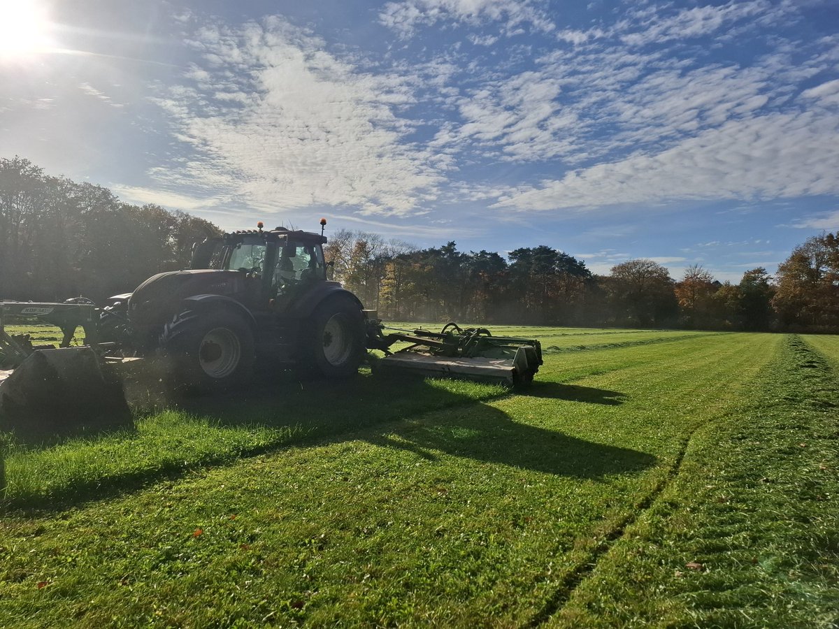 Dinand Bruggert tweet media