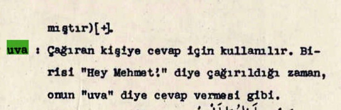 Muhteşem bir bilgi:

Biri seslendiğinde “efendim” diyoruz. Efendi, dilimize Yunancadan girmiş. 

Peki, Türkler daha önce biri seslendiğinde nasıl karşılık veriyordu?

Uva. 

Kaşgarlı Mahmut böyle açıklamış: