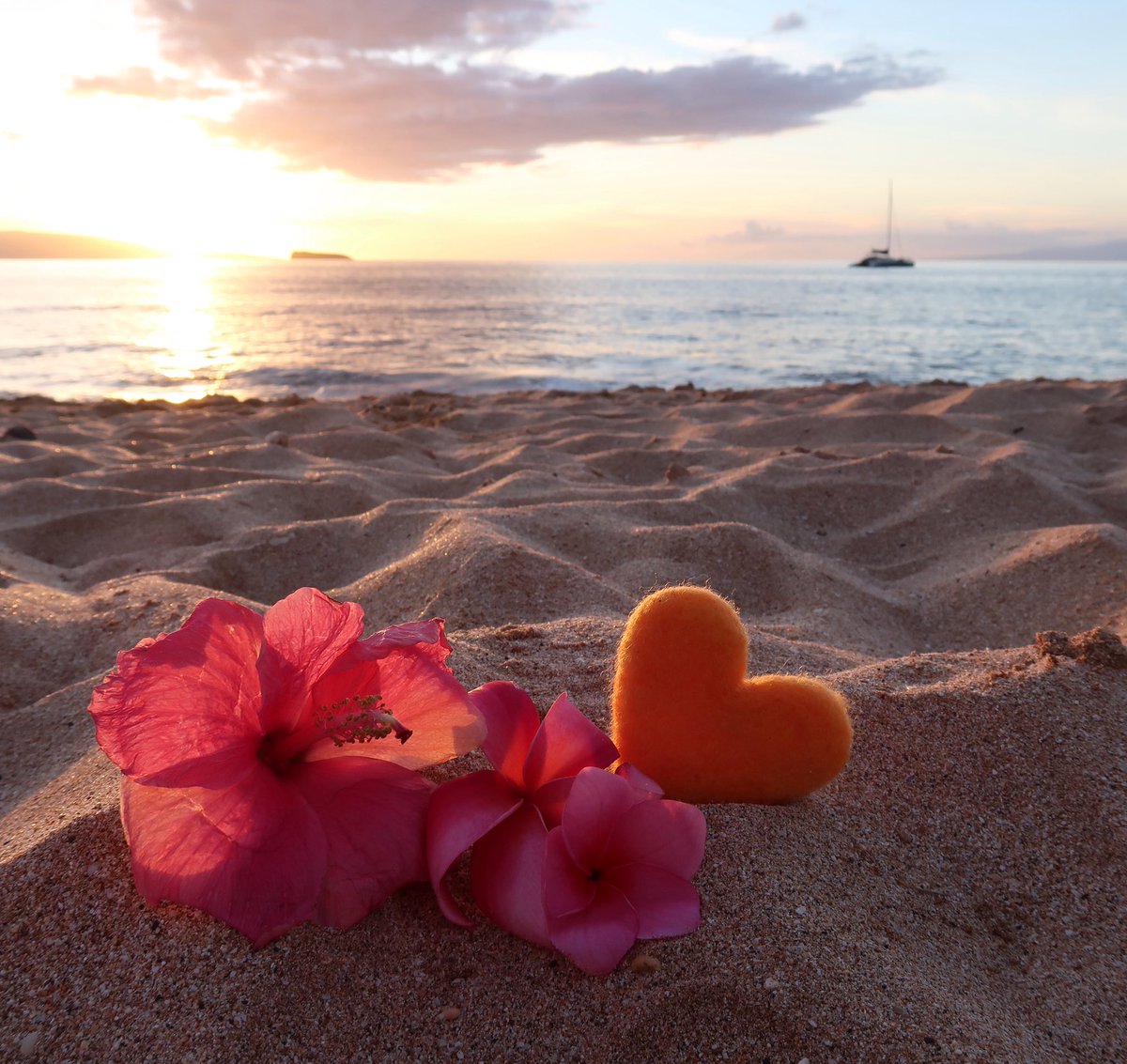 Treasure Chest Memories &amp; Mermade Felting Days, Adventuring and hiding Treasures for others to find, it was so much fun. I hope we plan some more of those soon.
Learn how to Needle Felt on SnowflakeForest Felting YouTube Channel. Happy Felting🌬️❄️🌲🤍youtu.be/F14bKgcN5EQ?si…