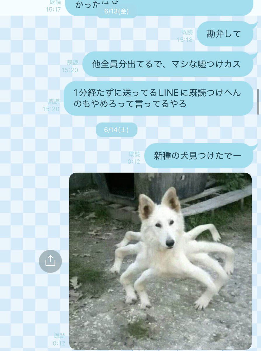 妹にブチギレた日の夜にどうしても新種の犬見て欲しかったの思い出した