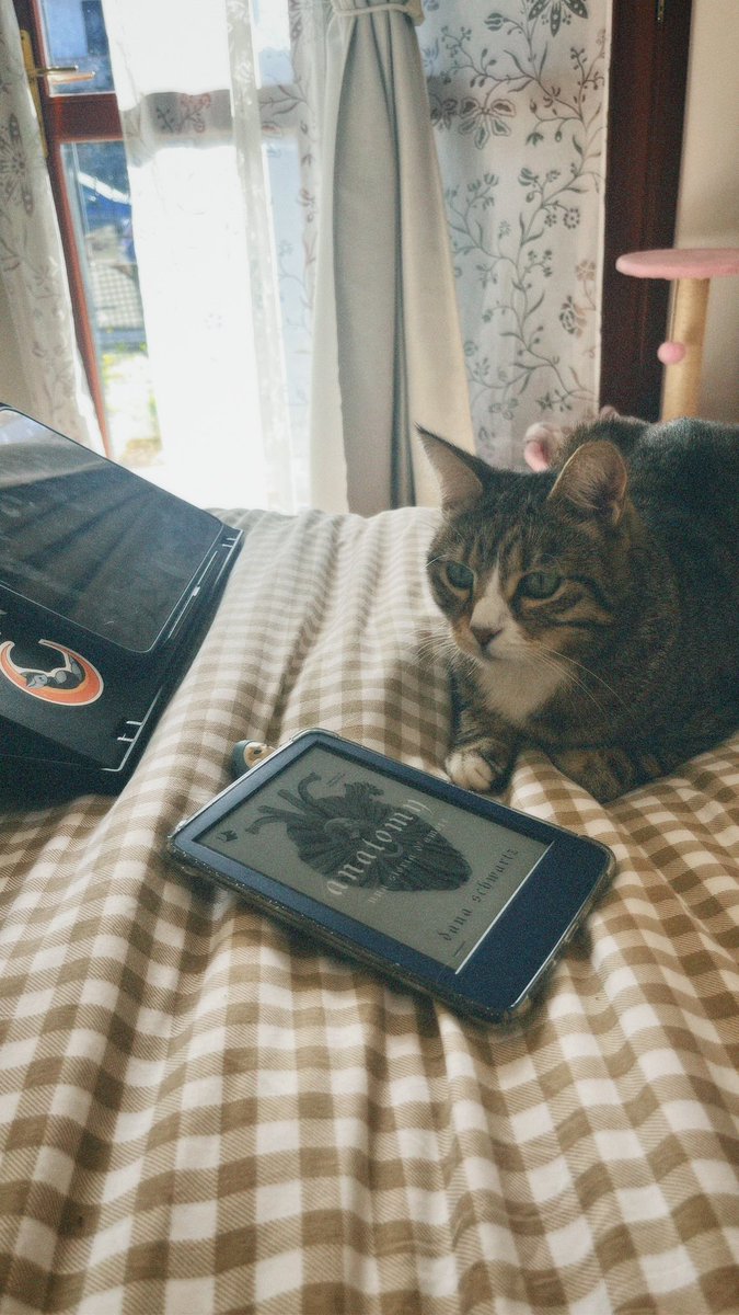 Wendysdreams's tweet photo. Libri e atmosfere che amo 🤎 https://t.co/VIPLvvFt6P