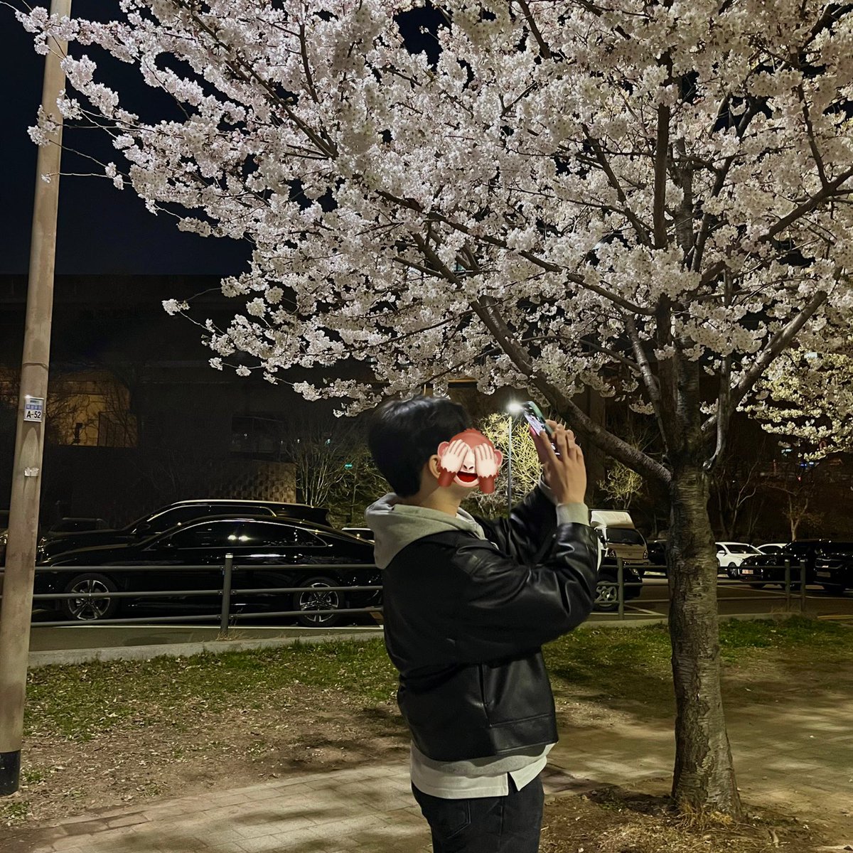 sseouu_'s tweet photo. ”난 원체 무용한 것들을 좋아하오“ https://t.co/gfApFz3ULc