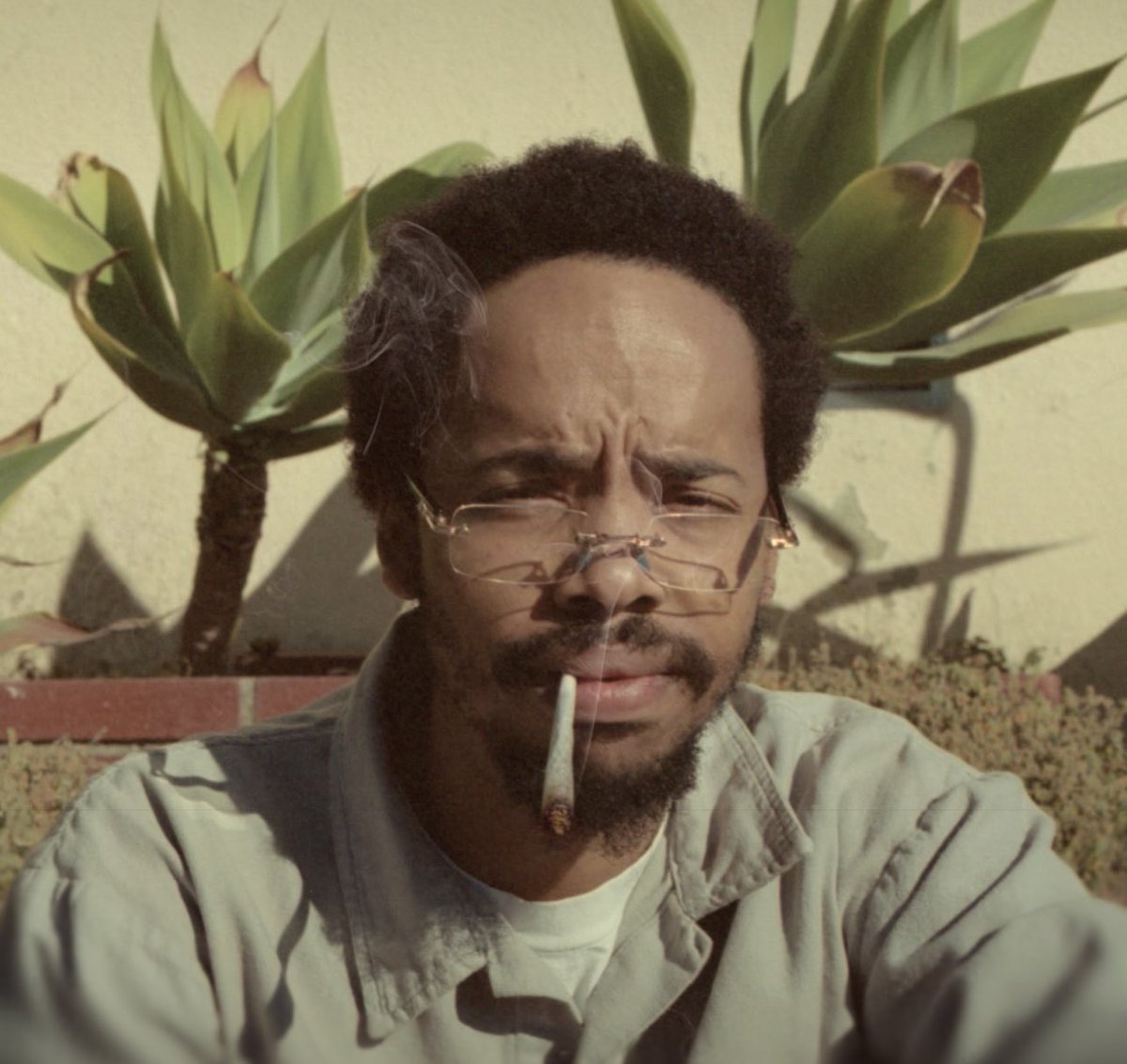 SHREK KNOWS RAP tweet media