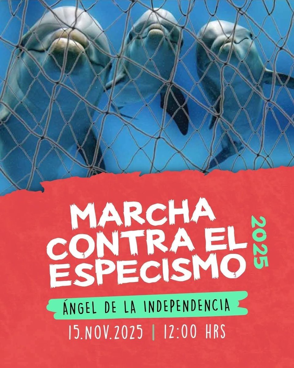 adriana olea (@adyxolea) on Twitter photo 