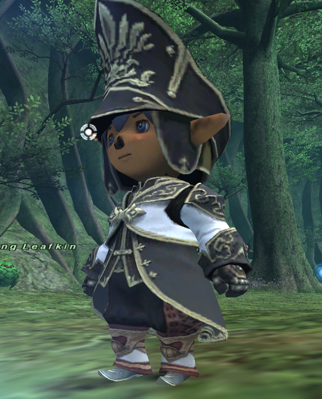 Achlko（あちこ）@バハ鯖 tweet media