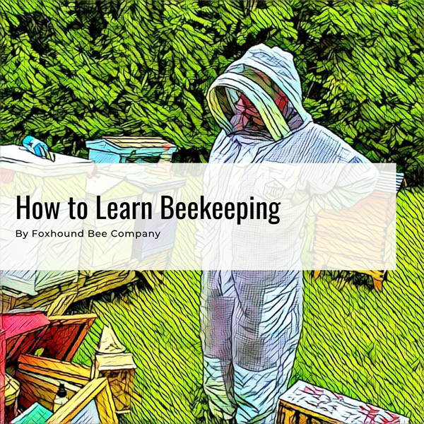 FoxhoundBeeCo's tweet image. Planning to start your own colony? Early preparation is key. 

Learn all about beekeeping this fall so you'll be ready with your know-hows, setups, and tools by the time the warmer months arrive.
 
bit.ly/3Rmudct 
 
#foxhoundbeeco #beekeeping #beekeepingtips #beekeeper
