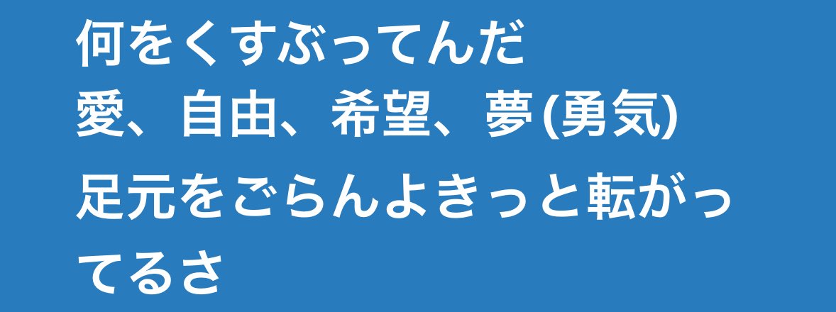 ほんと最高ねこの歌詞