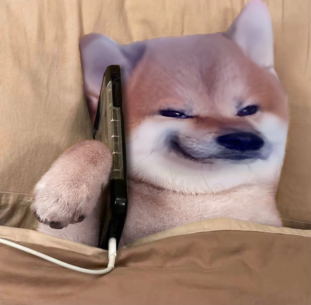 Dr. Olli 🇺🇦 tweet media