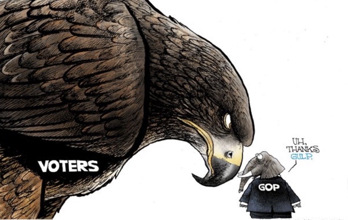 ChrysalisO's tweet photo. Congrats to the Democratic candidates that won!  This morning the future looks a bit brighter. #Democrats  #GOPShutdown  #EpsteinFiles https://t.co/Q293zhh9gs