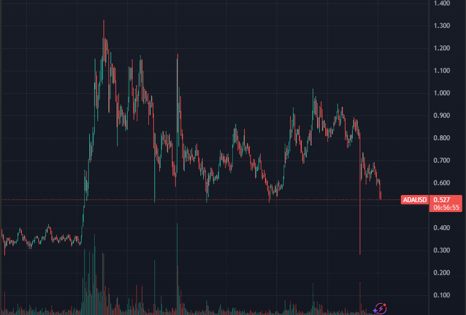 Did you buy this Cardano $ADA dip? 👀