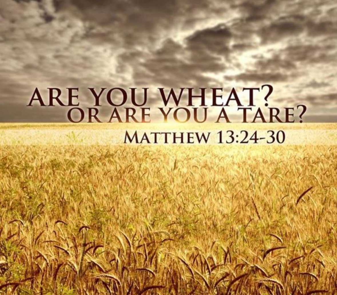 GiffShop3's tweet image. #GameTheory  👻
 🖕🏻  #BirdiStheWord   🖕🏻
#Jesus2028  🥳