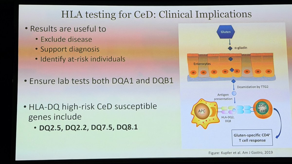 Kimberley Chien tweet media