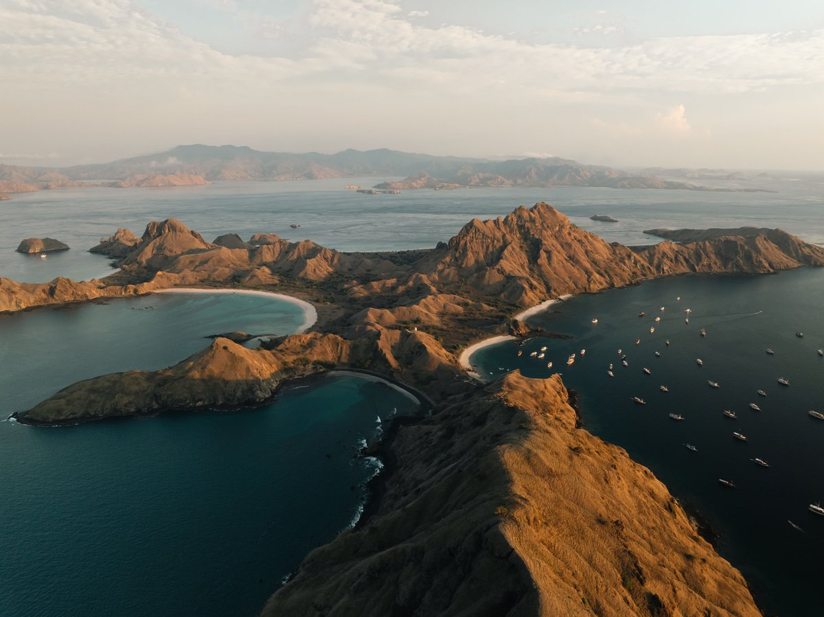 Linda Adami 💗🎵✨ tweet media