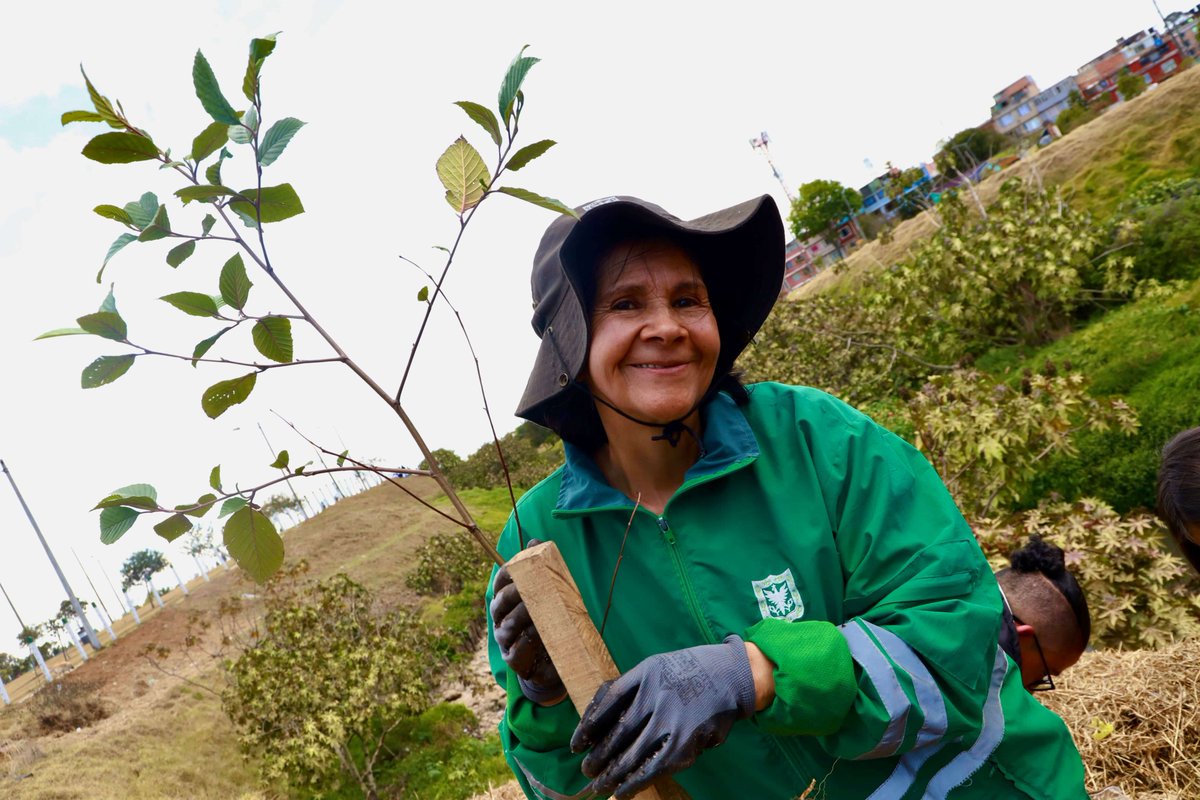 Ambientebogota's tweet photo. ¡Bogotá avanza en estrategias innovadoras para mejorar la calidad del aire: restauración, reverdecimiento y ZUMA!

Con iniciativas como Foncarga para promover el ascenso tecnológico de los vehículos de carga, la Zona Urbana por un Mejor Aire (ZUMA) Bosa-Apogeo y la estrategia de reverdecimiento en el suroccidente, buscamos que los bogotanos respiren un aire más limpio y saludable.

A propósito de estos esfuerzos que lidera el Distrito, nuestra ciudad fue seleccionada como finalista del galardón ambiental más importante del mundo, el premio #EarthshotRio 2025, en la categoría 'Limpiar nuestro aire'. ¡En Bogotá sí pasa!