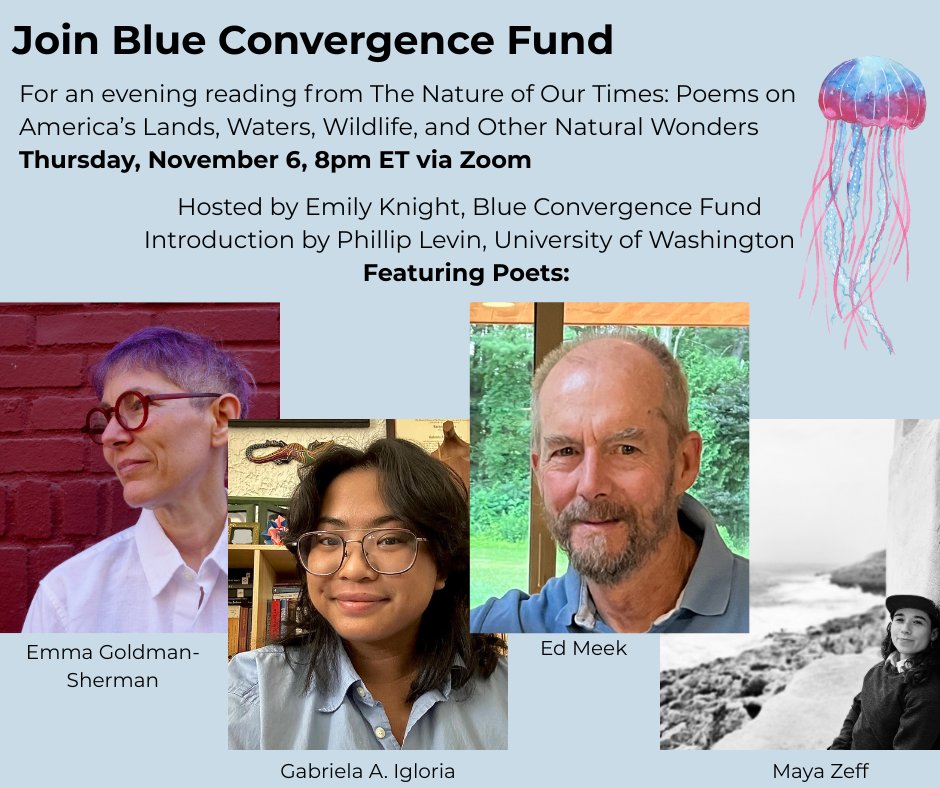 Blue_Convergence_Fund tweet media