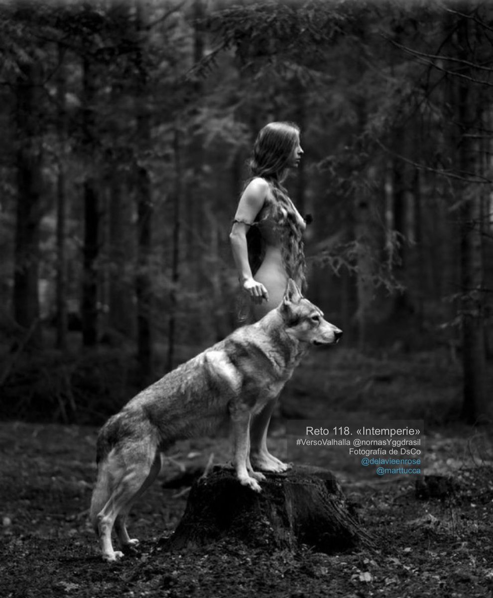 Entonces me viste en ese gran bosque oscuro al que llaman soledad, rodeada de tantos y a la vez tan sola. Creciendo a la intemperie del desaliento y de la salvaje falta de afecto.
Llegaste y abriste mi alma de loba solitaria como si fuera una flor sedienta de amor.
Me abriste el