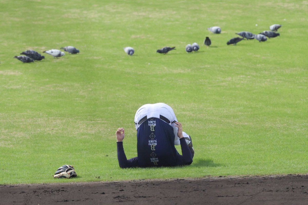 おーちゃん。 on X