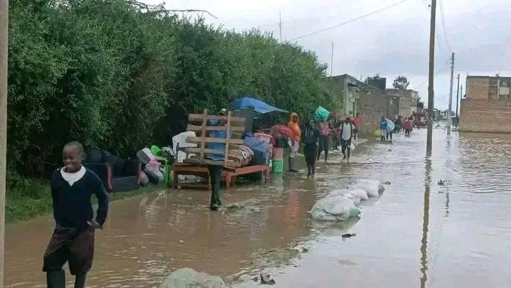 Lake Naivasha’s Floods aren’t Just From Heavy Rains They Stem From Years of Deforestation, Wetland Loss, and Poor Land Planning. As Water Levels Rise, Nearby Estates Face Devastation. Nature is Reminding Us: Restore Ecosystems or Face The Consequences.
#LakeNaivasha