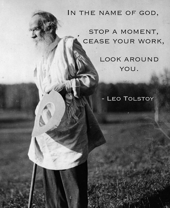 Stop for a moment. Look around.