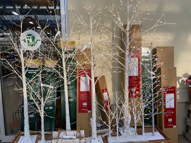Pasquesis's tweet image. Best selection is now... LED pre-lit trees with silver and birch-like branches &amp;amp; trunks... White &amp;amp; multi-color lights available. Indoor or outdoor use. pasquesi.com/for-the-holida… #trees #lights #artificial #birch