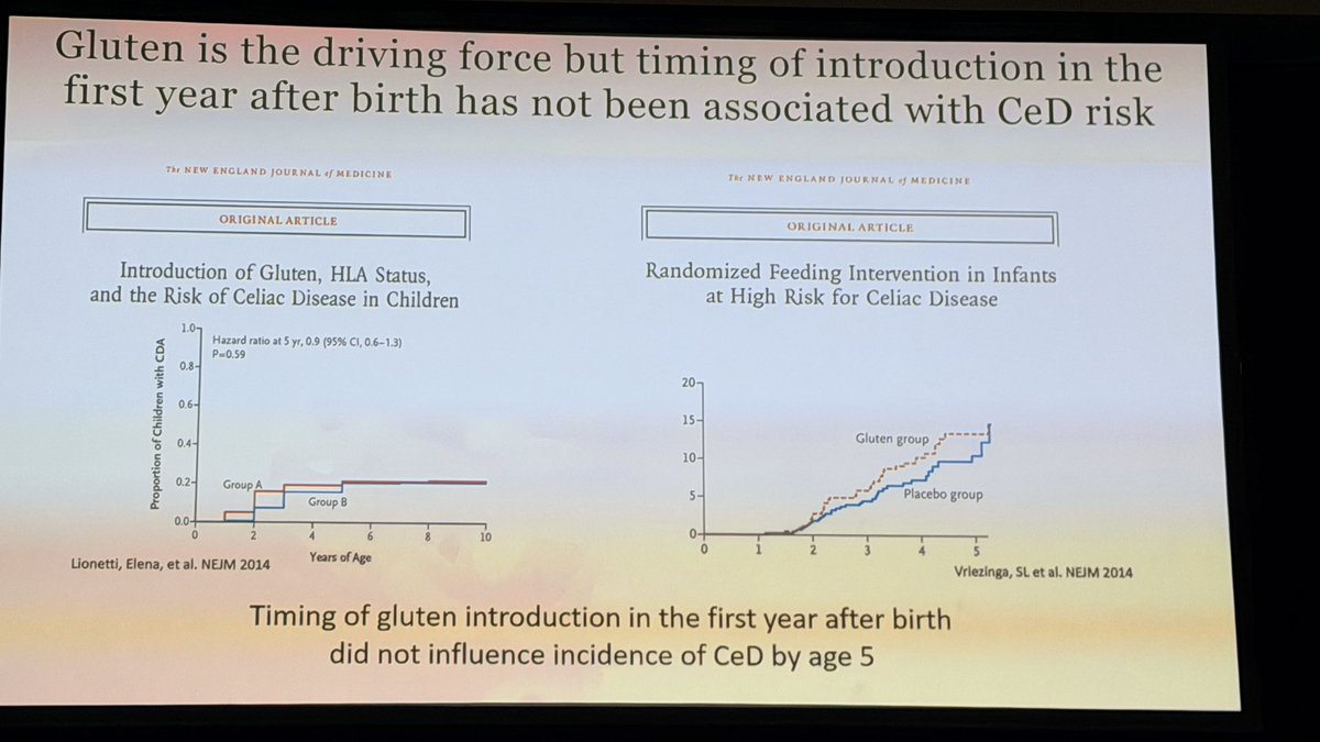 Kimberley Chien tweet media