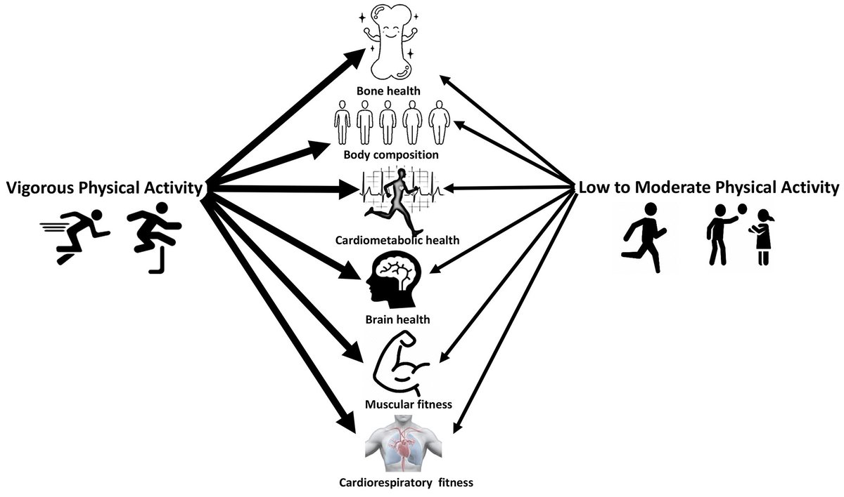 ⏩ La ciencia lo deja claro: ¡moverse a intensidad alta importa! 💥🏃‍♀️ HIIT, sprints, saltos, juegos rápidos, carreras cortas… ⚡️

Más intensidad = más salud para niños y adolescentes. 🫀✨

sportsmedicine-open.springeropen.com/articles/10.11…