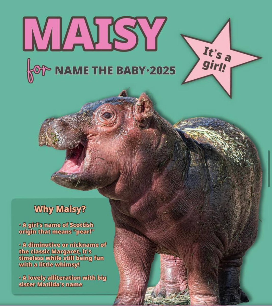 instagram.com/p/DQrFz58jrY-/

That’s why $MAISY is the next $MOODENG