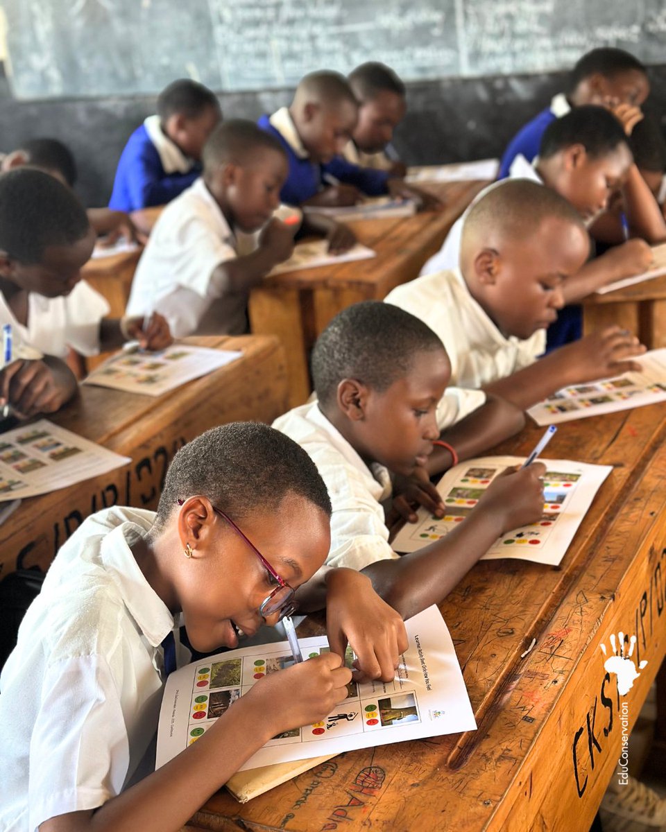 EduConservation's tweet photo. Nous avons récemment procédé à l’évaluation initiale dans certaines classes, dans le cadre de notre plan de Suivi, d'Évaluation et d’Apprentissage avant la mise en œuvre de notre matériel au Rwanda. Voici un petit aperçu https://t.co/EVsvNu7APh