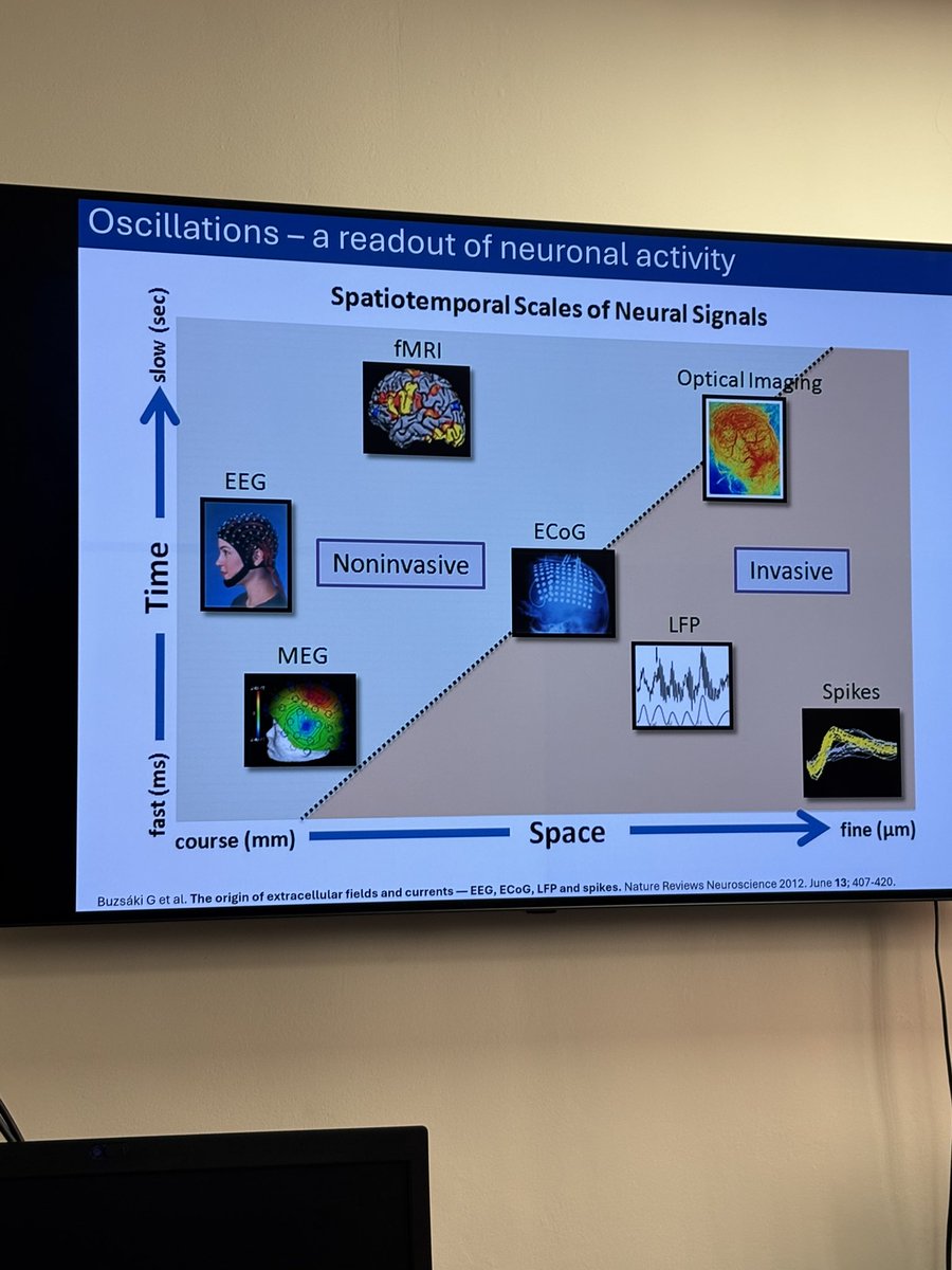 Today’s meeting involved a fascinating talk by one of our own Clinical Scientists on the underlying mechanisms of absence epilepsy in thalamocortical neurons!

Link: pubmed.ncbi.nlm.nih.gov/40339636/