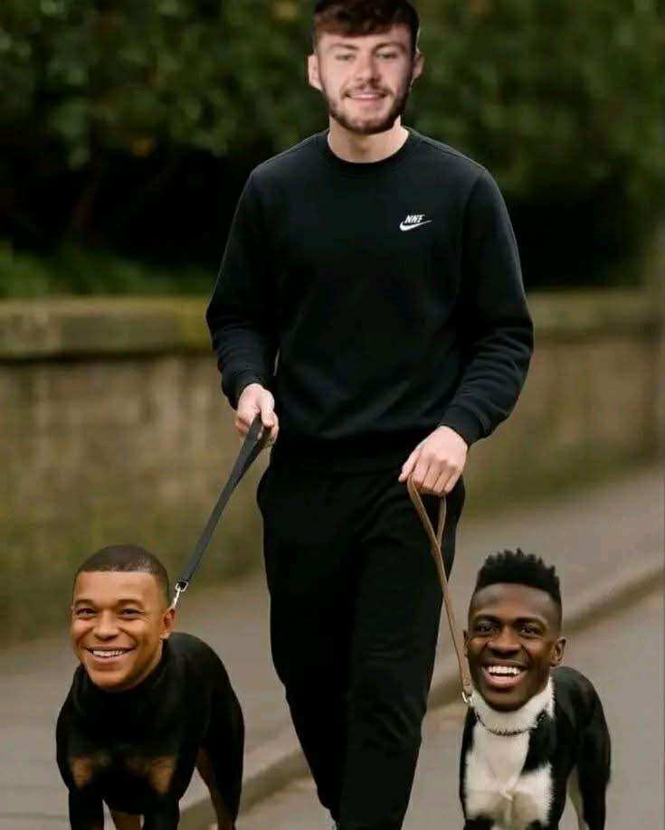 Petewsidebradly's tweet image. Just @conorbradley03 out for an afternoon stroll with his two bitches!!! 🔴🔴🔴🔴🔴🔴
#LFC @LFC #Anfield #EasyWork