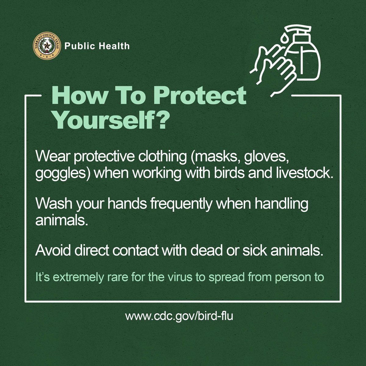 Winter is coming ❄️ Birds are migrating to warmer areas — and they can sometimes carry an increased risk of bird flu along the way. 

How could this impact you and your flock? SWIPE to learn more!