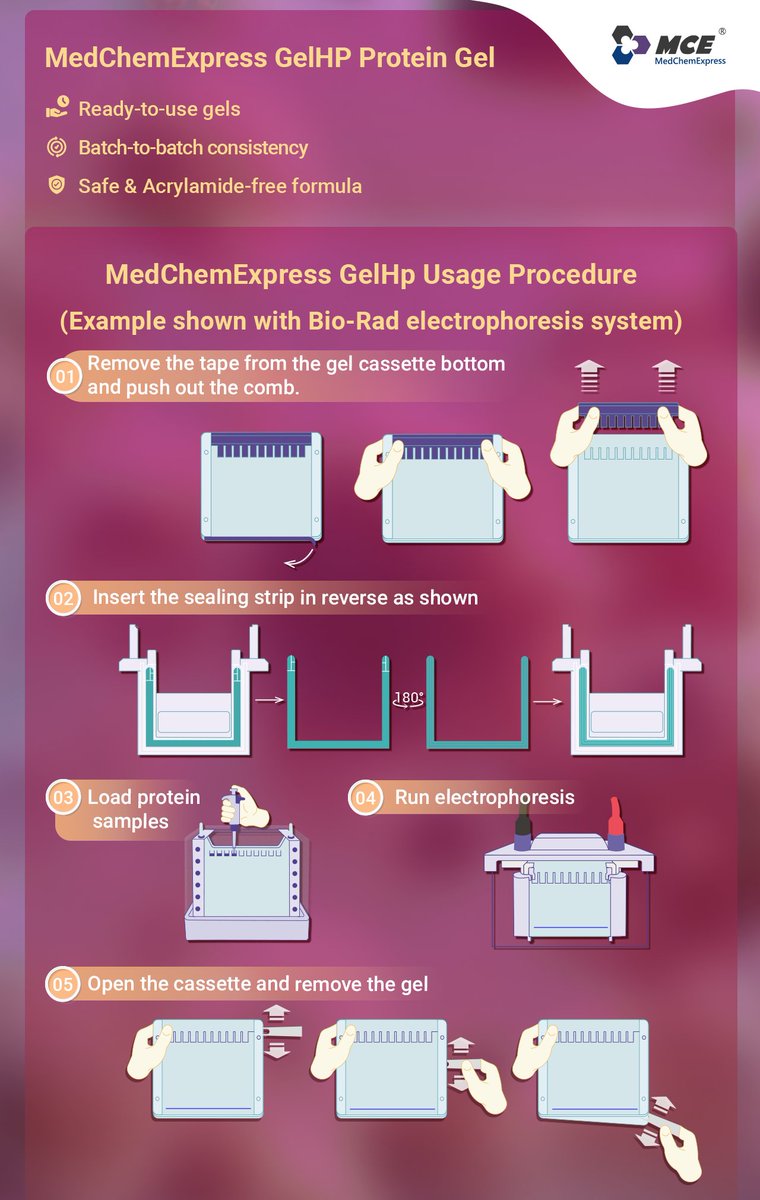 MedChemExpress's tweet image. 🧪New &amp;amp; Featured | #ProteinGel
Streamline protein electrophoresis with GelHP— ready-to-use polyacrylamide gels for #PAGE &amp;amp; #WesternBlot. Save time, reduce errors, and get reliable results. Available in various concentrations for academic &amp;amp; biopharma labs.🔗ow.ly/7Pks50XmUvt