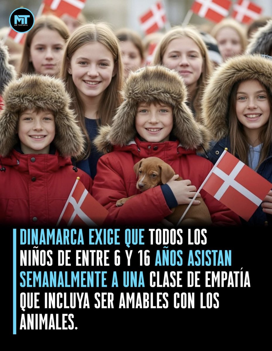 En Dinamarca, los niños participan en una clase llamada «klassens tid» donde solo hay lecciones de empatía y comprensión. Aprenden cómo sus acciones afectan a los demás y les imparten conversaciones sobre sentimientos e inclusión tanto para las personas como para los animales,