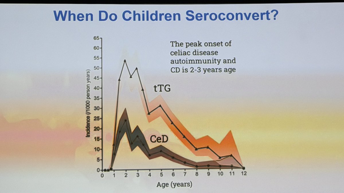 Kimberley Chien tweet media